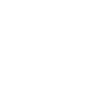 Zircon Exports Private Limited Logo